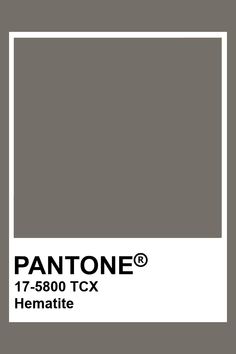 the pantone color is shown in gray