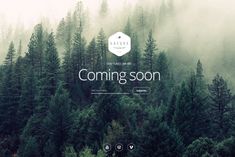 the wordpress theme is coming soon and it's full of forest - like trees