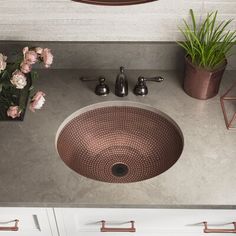 a bathroom sink sitting under a mirror next to a potted plant and other items