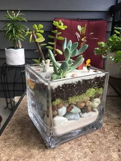 there is a planter with rocks and succulents in it on the table