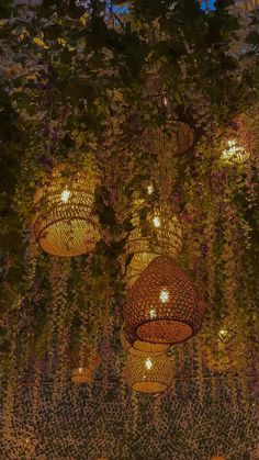 many lights are hanging from the ceiling in front of some plants and trees at night