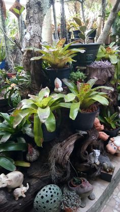 there are many potted plants on the steps in front of this house, and one is filled with small figurines