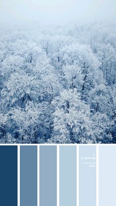 an aerial view of trees in the snow with blue hues and gray tones to match