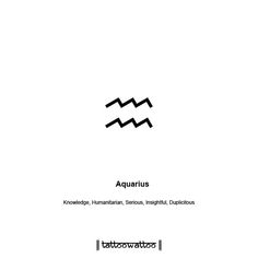 the book cover for aquariusus, featuring an image of two lines in black and white