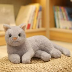 a gray cat sitting on top of a straw hat in front of bookshelves