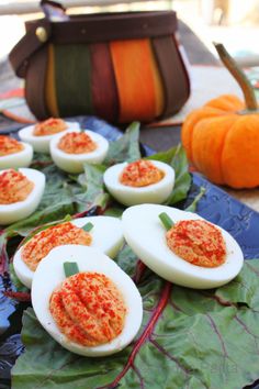 deviled eggs on leafy greens with pumpkins in the background