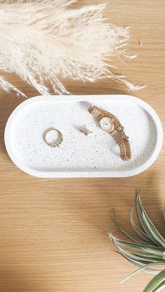 a white tray with two rings on it next to a potted plant and some feathers