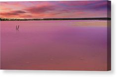 the sky is pink and purple as it reflects in the water at sunset canvas print