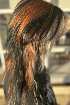 Rich black or brown meets blonde highlights and fiery red accents, creating a mesmerizing hair look inspired by calico cats. Calico Hair Color, Curly Asian Hair, Calico Cat Hair, Vibrant Highlights, Calico Hair, X Chromosome, Red Blonde Hair, Calico Cats, Brown Hair Looks