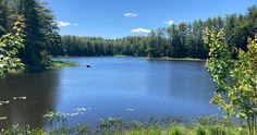 a lake surrounded by lots of trees in the middle of a forest filled with water