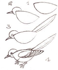 three different birds with numbers on them