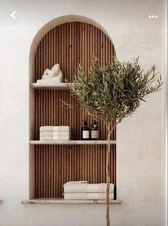 an olive tree in a vase next to a shelf with towels and bottles on it