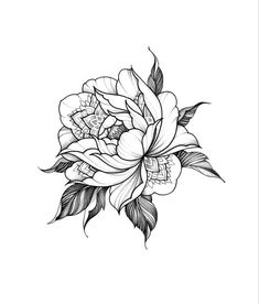 a black and white drawing of a flower with leaves on the bottom half of it