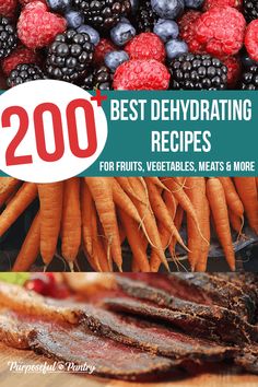 the cover of 200 best dehydrating recipes for fruits, vegetables, meats and more