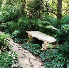 a stone bench sitting in the middle of a forest filled with green plants and trees