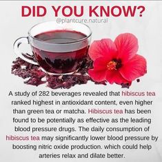 Healthy Herbs, Healthy Food Facts, Natural Healing Remedies, Herbal Healing, Hibiscus Tea, Herbal Teas