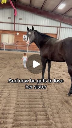 @swimmer_2_winner on Instagram: "My hormones 🥹 #fyp #viral #horse #love #blessed" Baby Animals Adorable, Pictures Of Horses, Largest Horse Breed, Wild Horse Pictures, Funny Horse Videos, Funny Horse Pictures, Horse Movies, Rare Horses, Dream Horse Barns