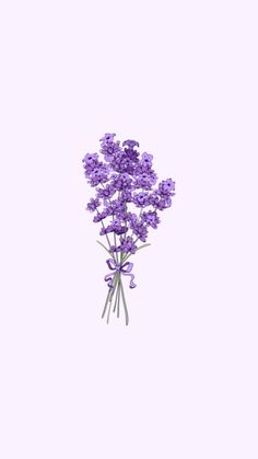 a bunch of purple flowers on a white background