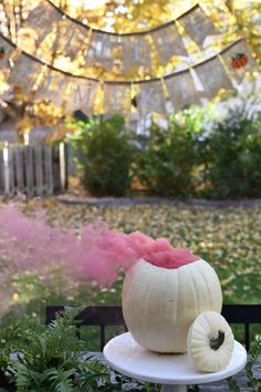 Fall Gender Reveal - Madison Fichtl Fall Gender Reveal Party, Pumpkin Gender Reveal, Simple Gender Reveal, Halloween Gender Reveal, Gender Reveal Announcement