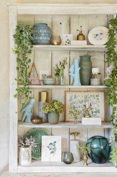 a shelf filled with lots of vases and plants