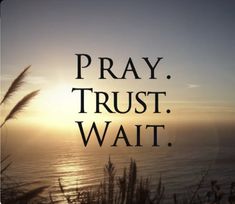 the words pray trust wait are in front of a sunset over the ocean and grass