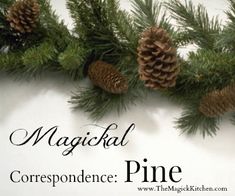 some pine cones are hanging from a branch with the words, magickal correspondence pine