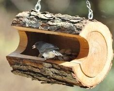 a bird sitting on top of a piece of wood hanging from a chains attached to it