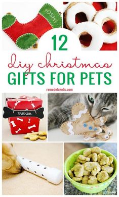 twelve diy christmas gifts for pets that are easy to make and great for the holiday season