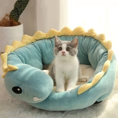 a cat sitting in a blue and yellow pet bed