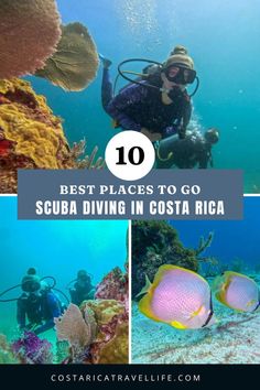 Dive into the crystal-clear waters of Costa Rica! Discover the best scuba diving spots, marine life, and tips for an unforgettable underwater adventure. Perfect for adventure travel enthusiasts looking to explore Costa Rica's hidden treasures. #ScubaDiving #CostaRica #AdventureTravel