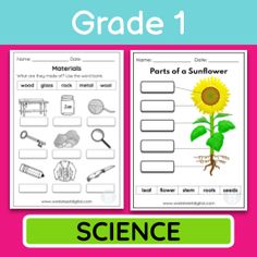 the science worksheet for grade 1 is shown with an image of a sunflower