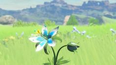 a blue and white flower sitting in the middle of a field with mountains in the background