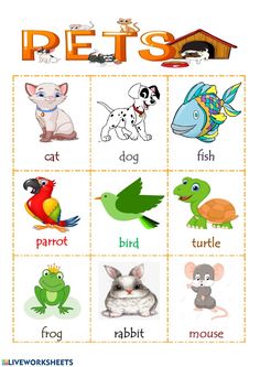 a poster with different types of animals and words on it's front cover, including the word pets