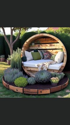 a circular bed in the middle of a garden with succulents and cacti