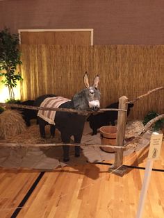 two donkeys are standing behind a fence in an indoor area with wood flooring