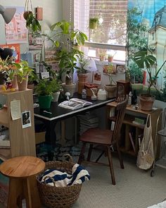 a cluttered room with many houseplants on the desk and chairs in it