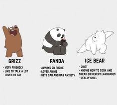 four different types of bears and pandas are shown in this graphic above the caption