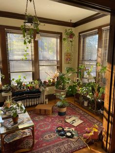 a living room filled with lots of potted plants