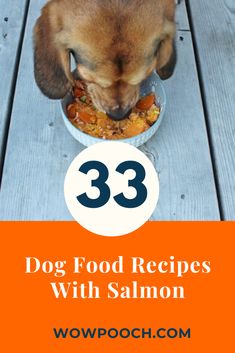 a dog eating food out of a bowl with the words 33 dog food recipes with salmon