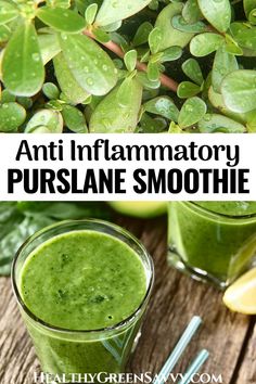 green smoothie with text overlay that reads anti - inflamatory purslane smoothie