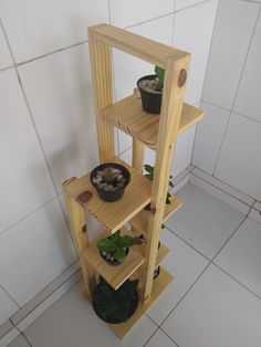 a wooden shelf with three plants on it and one potted plant in the corner