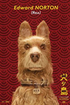 a small dog is standing in front of a red background with the words edward horton rex