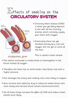 Mexican Superstitions, Human And Social Biology Notes, Circulatory System Notes, Nursing Cardiovascular, Cardiothoracic Surgeon, Study Revision, Nursing Printables, Igcse Biology