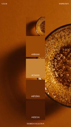 an orange and brown color scheme with different shades