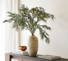 a plant in a vase sitting on top of a wooden table next to a book