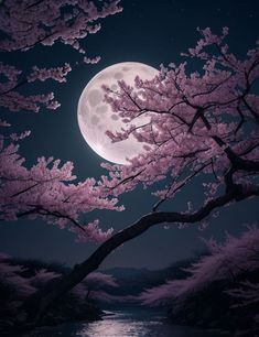 the full moon shines brightly in the night sky over a river and tree branches