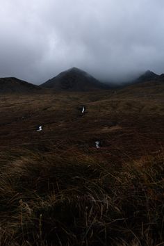 Three warefslls and three peaks on the isle of skye in the scottish highlands Foggy Scottish Highlands, Scottish Cottage Aesthetic, Scotland Aesthetic Highland, Moody Scotland, Scottish Highlands Aesthetic, Scottish Gothic, Scottish Autumn, Scottish Moors, Scottish Aesthetic