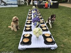 two dogs sitting at a long table with plates on it