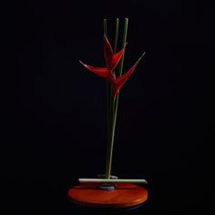 a red flower sitting on top of a wooden table next to a black background with an orange base