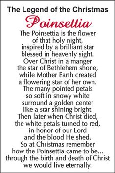 the legend of the christmas poinsettia poem written in red ink on white paper